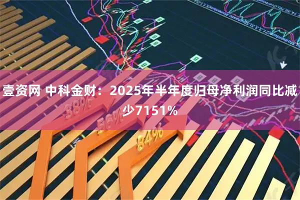 壹资网 中科金财：2025年半年度归母净利润同比减少7151%