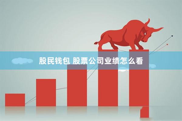 股民钱包 股票公司业绩怎么看